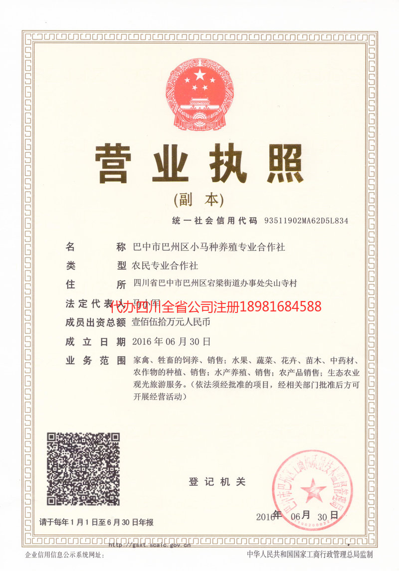 都匀都匀小马种养殖专业合作社